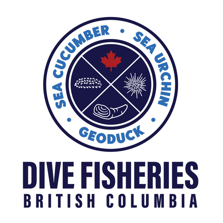 Divers Catch logo